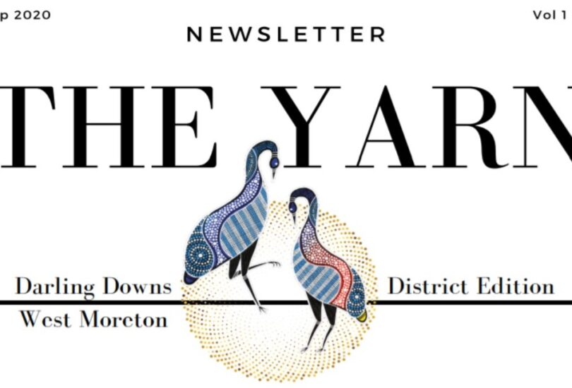 The Yarn Newsletter (Vol 1 Issue 3) ‘Healing a Broken System’